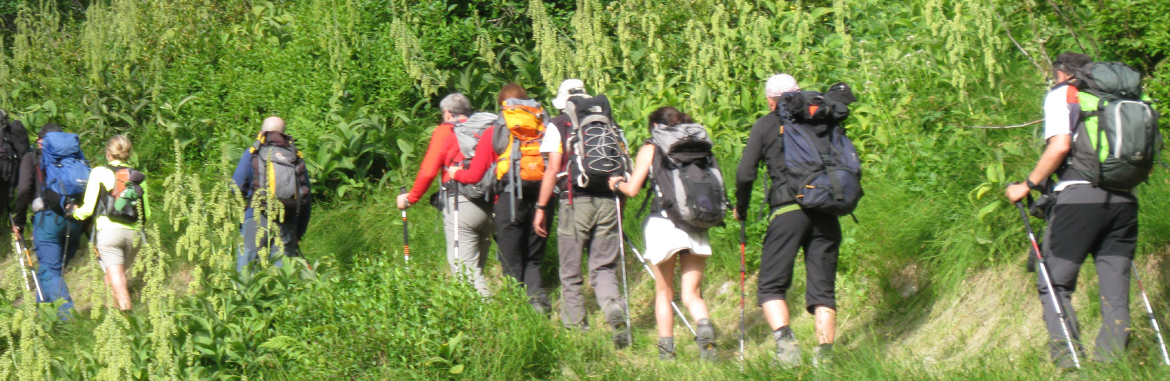 Hiking Carlos Buhler